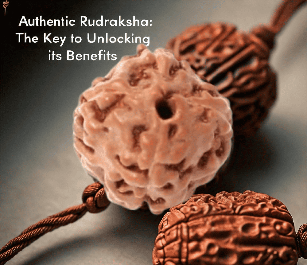 Authentic Rudraksha The Key to Unlocking its Benefits